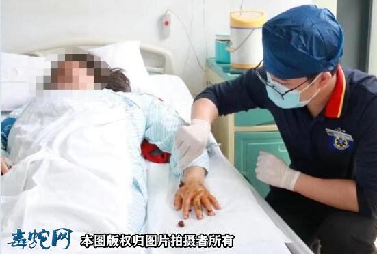当下深圳毒蛇进入活跃期!外出游玩要防治毒蛇咬伤!