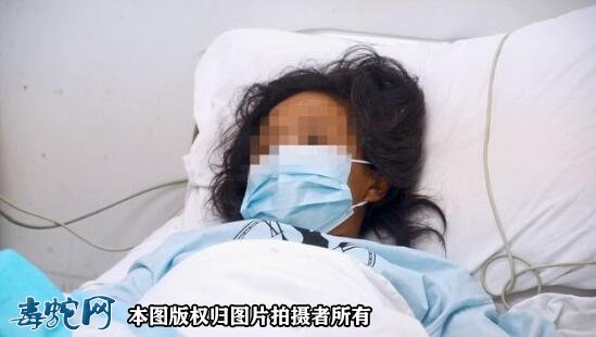 温州一女子被毒蛇咬伤！肇事者为竹叶青咬伤！