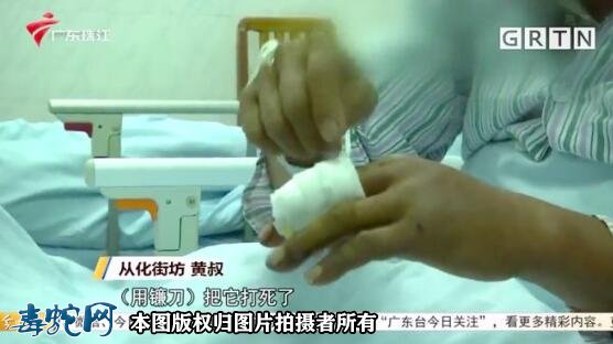 广东半个月内14人中招!广东毒蛇进入高发期、五一出游要注意!
