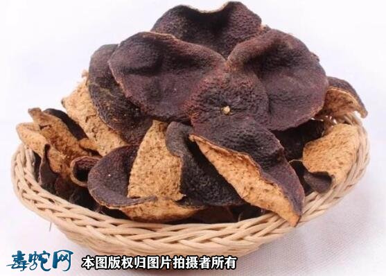 蛇胆陈皮液、蛇胆陈皮散小孩怎么吃?