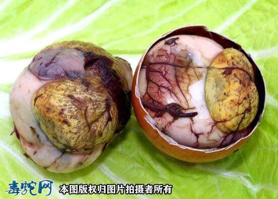 水律喂毛蛋可以吗