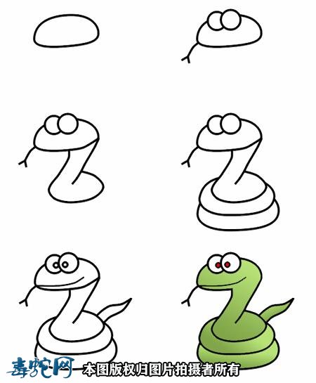 蛇的简笔画图片2