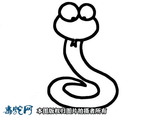 蛇的简笔画图片4