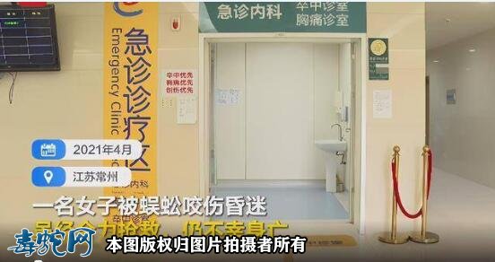 常州女子被蜈蚣咬了一口窒息身亡!蜈蚣有这么毒吗?