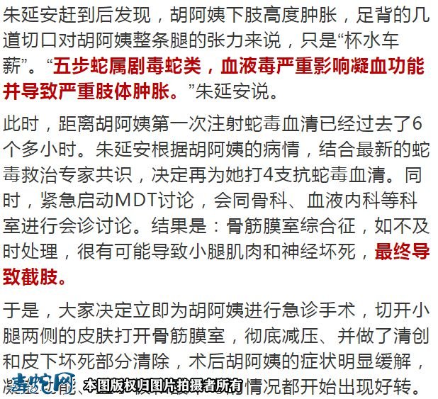 台州女子上山采茶被剧毒五步蛇咬伤!看到受伤的腿就哆嗦!