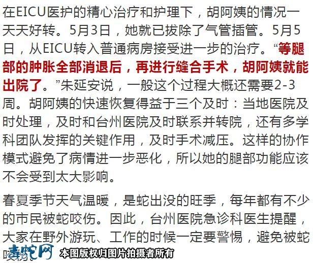 台州女子上山采茶被剧毒五步蛇咬伤!看到受伤的腿就哆嗦!