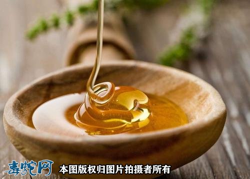 榛子蜂蜜粥做法步骤图3