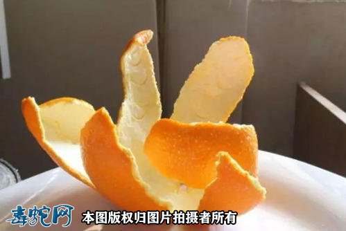 橘皮炖鲫鱼做法步骤图1