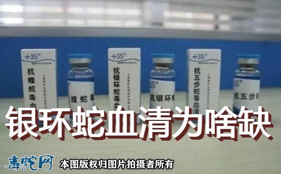 银环蛇血清为啥缺?