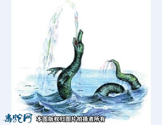 巨大海蛇的照片1
