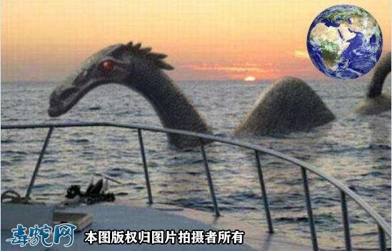 巨大海蛇的照片2