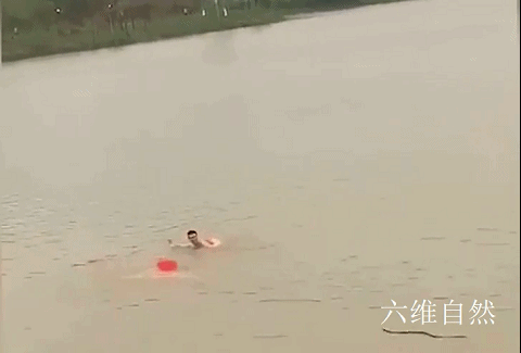湖南两男子在河中游泳被眼镜蛇追咬！