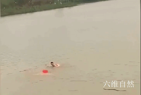 湖南两男子在河中游泳被眼镜蛇追咬!
