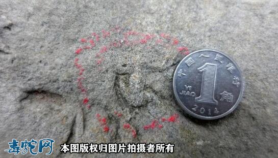 中国最小恐龙足迹在四川发现！该恐龙约麻雀大小足迹长仅10.2毫米！