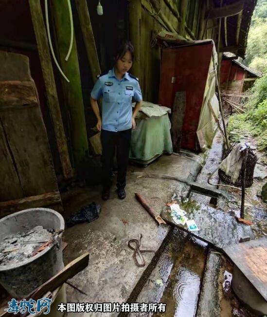 遵义六旬老人被铬铁头蛇咬伤!民警快速出警送往医院!