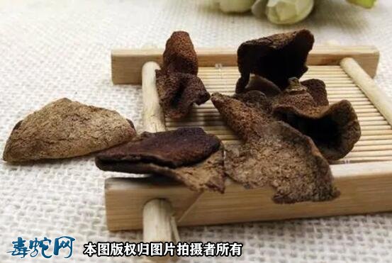 干的蛇胆陈皮怎么吃?