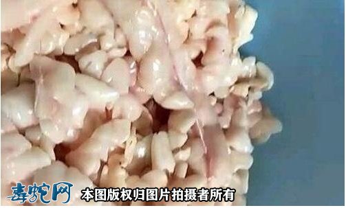 蛇油怎么处理？蛇油的保存方法？