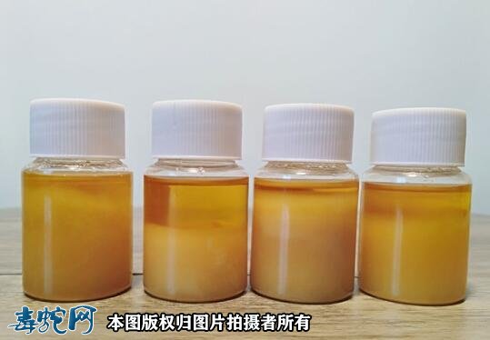 蛇油怎么处理?蛇油的保存方法?