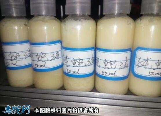 蛇油可以祛痘印吗?