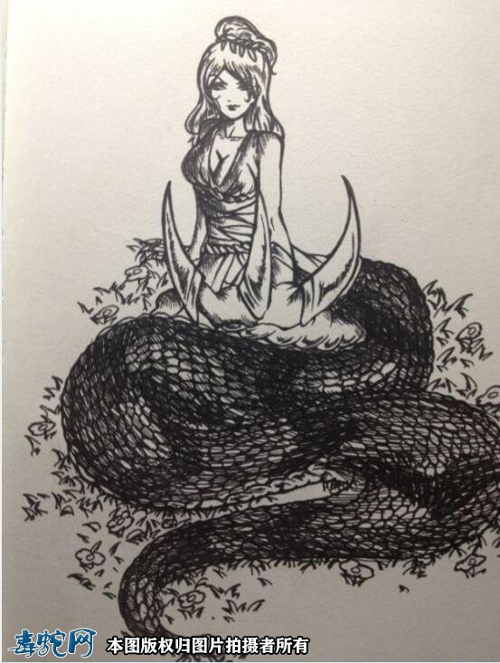 蛇女图片惊艳的蛇女图片大全欣赏