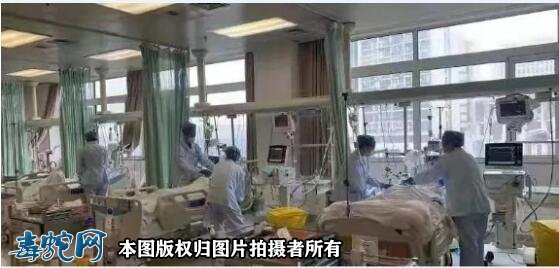 宁波台风过后毒蛇出没伤人!浙江已有人被咬伤!