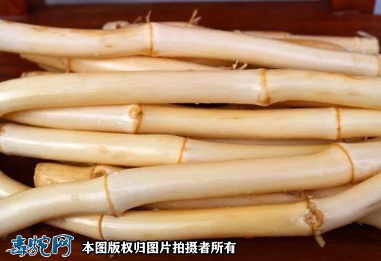 枇杷芦根饮的做法步骤