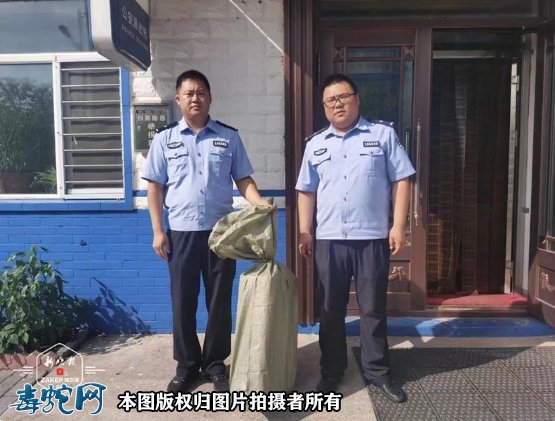 哈尔滨居民区毒蛇出没!民警化身“捕蛇达人”轻松抓捕!