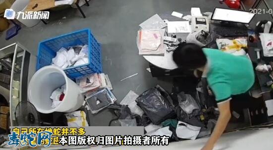 浙江快递小伙拆快递拆出一条蛇,吓得立马站到椅子上!