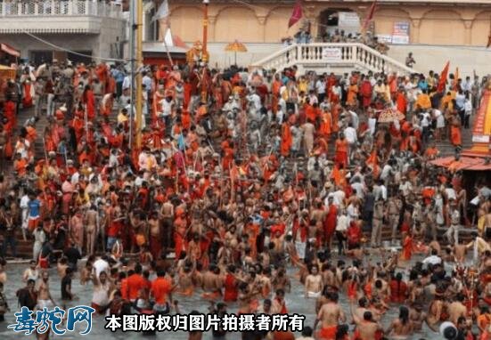 印度女子把毒蛇当“湿婆神”盘脖参加仪式!结果很悲惨!