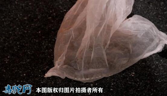郴州大妈们跳广场舞,剧毒“土公蛇”路口盘踞被发现!