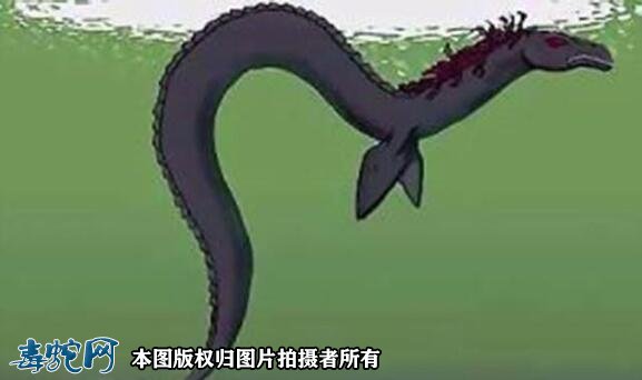 太平洋巨型海蛇
