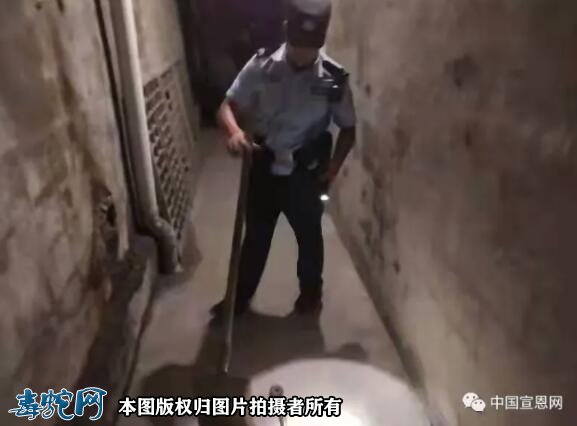 湖北宣恩民警化身捕蛇达人农家捕蛇保平安!