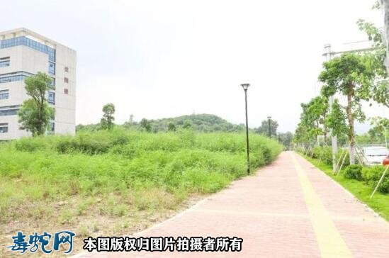 东莞市本月也有5列毒蛇咬伤!谢岗医院储备抗蛇毒血清!