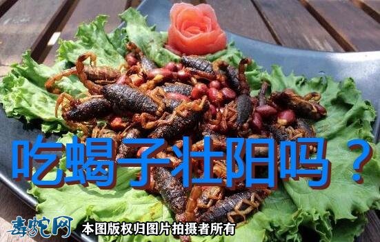 吃蝎子壮阳吗?