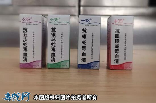 河北19岁女孩被蛇咬伤!北方毒蛇咬伤较少、急需外地血清救治!