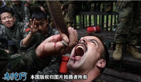梦见别人喝蛇血预示着什么?