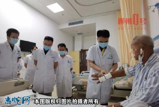 柳州多起毒蛇咬伤!电动车碾过毒蛇被反咬昏迷两天!
