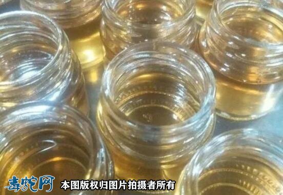 蛇油护肤霜古代什么时候开始的?