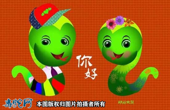 属蛇和属蛇配吗?