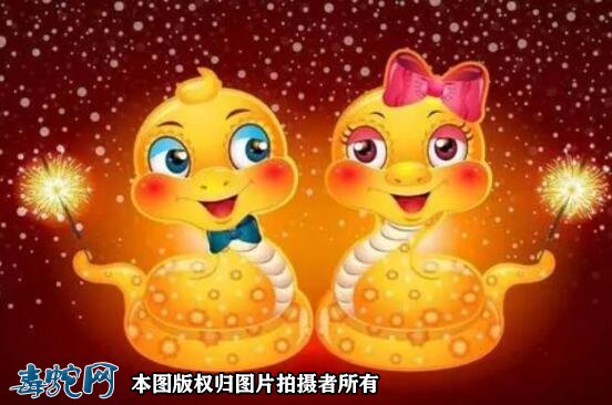 属蛇和属蛇配吗?