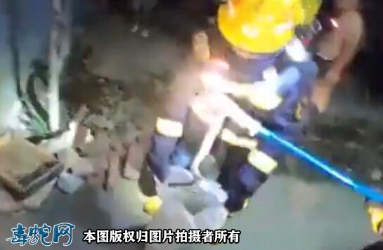 浙江一工厂惊现五步蛇!被称为“烂肉王”!