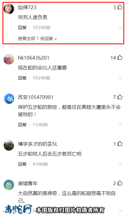 浙江一工厂惊现五步蛇!被称为“烂肉王”!