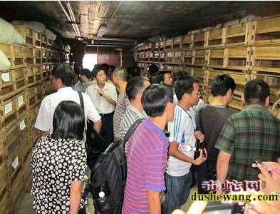 蛇箱养蛇图片