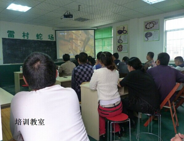 养蛇技术培训