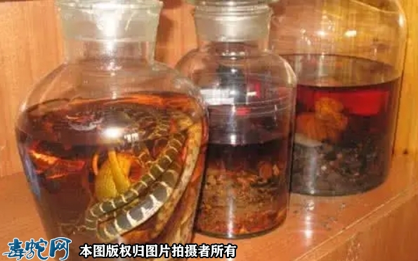 蛇酒的壮阳吗？