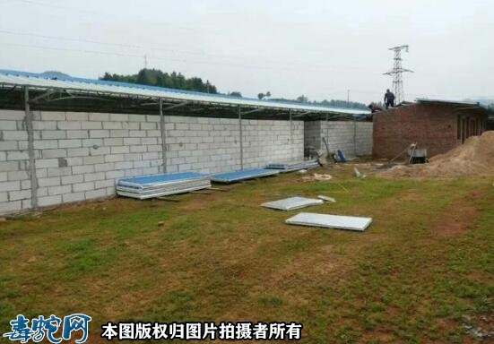 养蛇要找怎么样的地方？养蛇场选择要科...