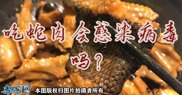 吃蛇肉会感染病毒吗？