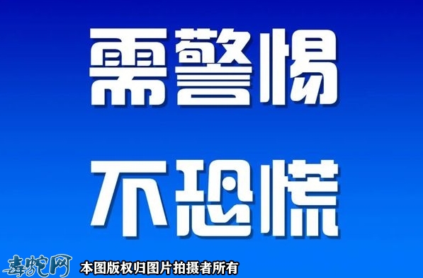 防城港防城区环城路现3米长70斤重大...