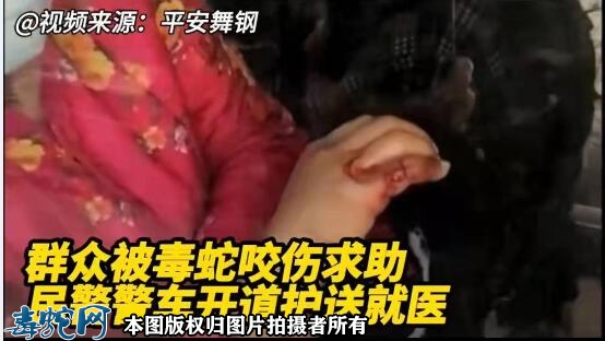 女子被毒蛇咬伤求助民警警车开道护送就...