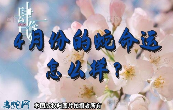 4月份的蛇命运怎么样？